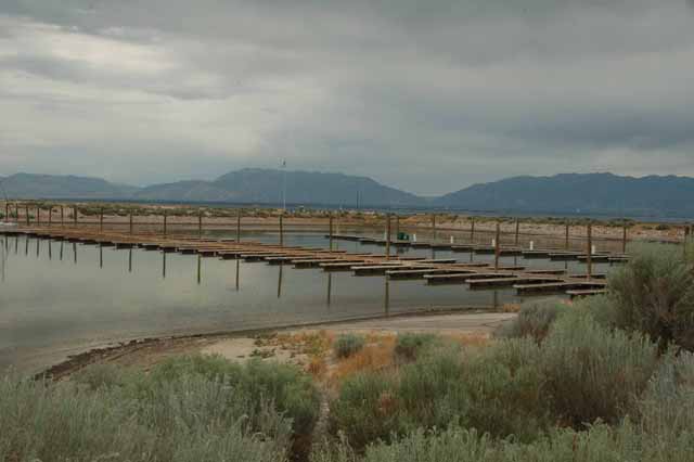 the (empty) marina